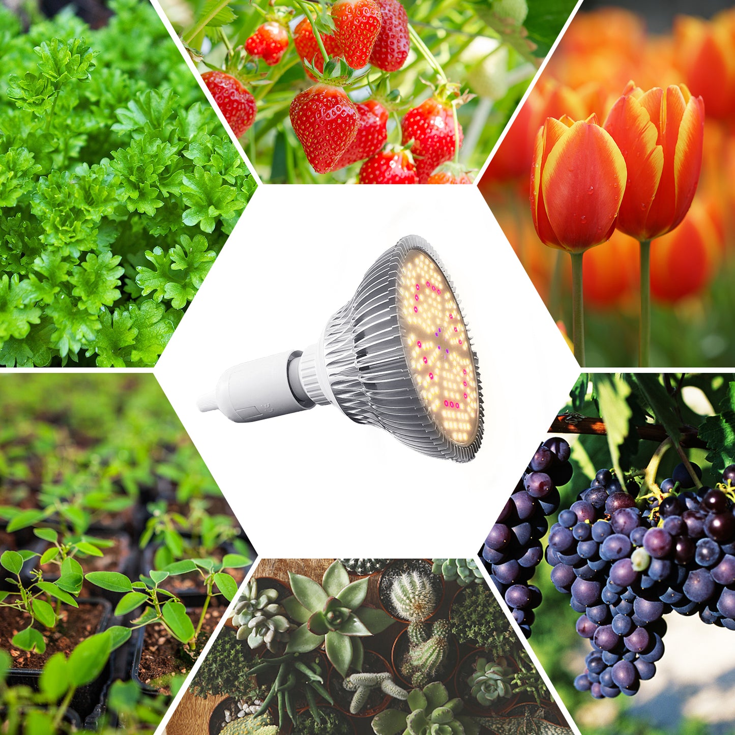 IMVSINCERE Grow Light Bulbs Full Spectrum, Grow Light for Indoor Plants with 180 LEDs, E26 E27 Base Grow Light Bulb for All Stages of Plant Growth House Garden Greenhouse Hydroponic Veg Flower