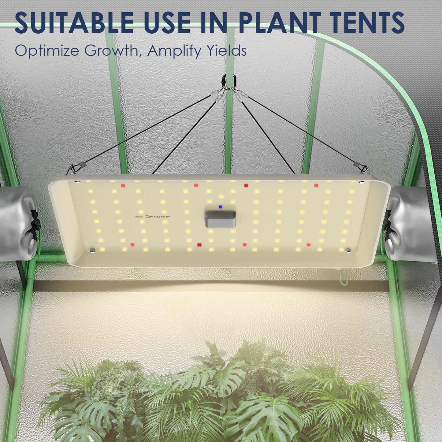 IMVSINCERE LED Grow Lights with Samsung Diodes, BC60W Grow Lights for Indoor Plants Full Spectrum Plant Grow Light for Ideal for Seed Starting, Succulents, Veg, Flowers, Easy to Assemble