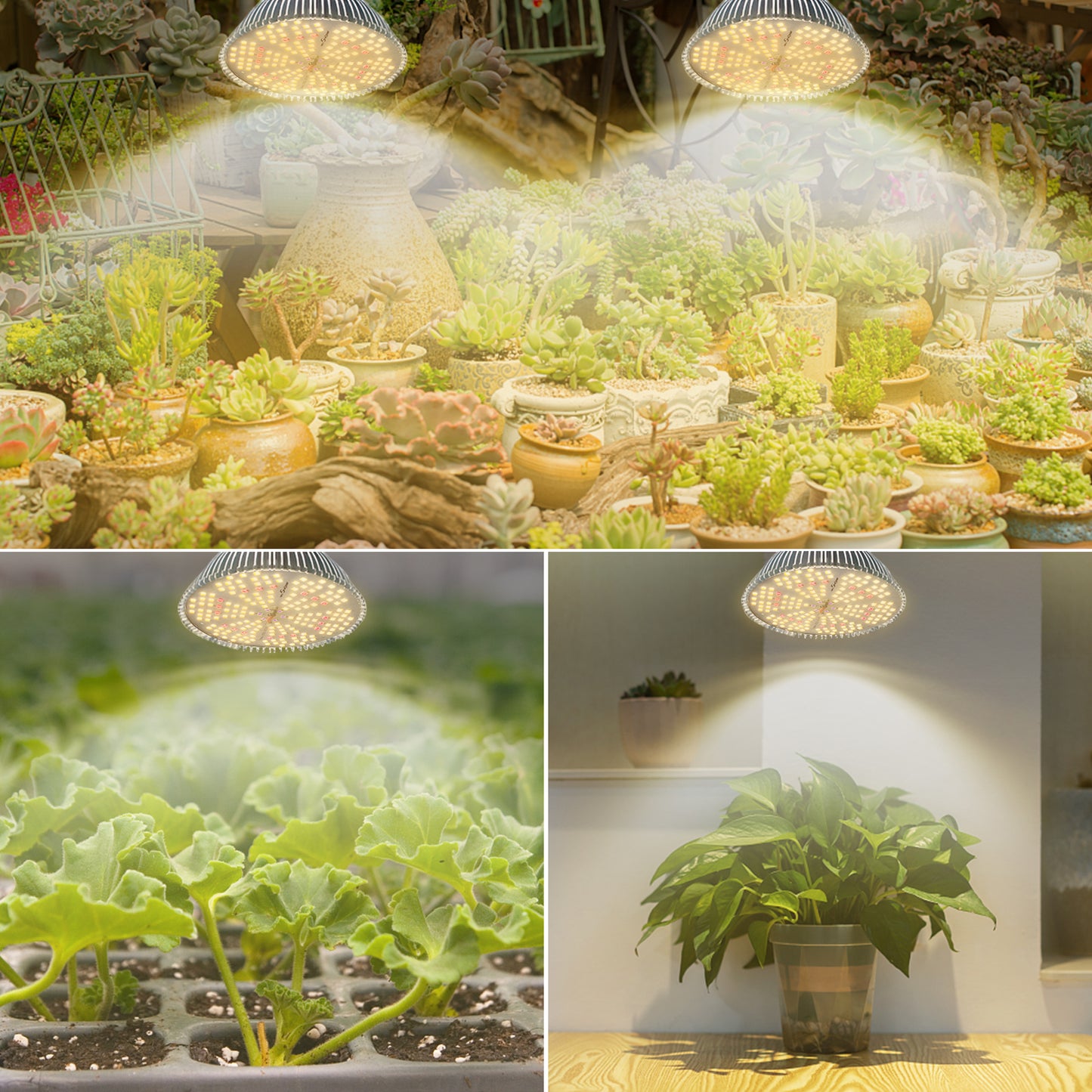 IMVSINCERE Grow Light Bulbs Full Spectrum, Grow Light for Indoor Plants with 180 LEDs, E26 E27 Base Grow Light Bulb for All Stages of Plant Growth House Garden Greenhouse Hydroponic Veg Flower