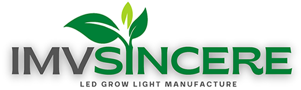 IMVSINCERE logo